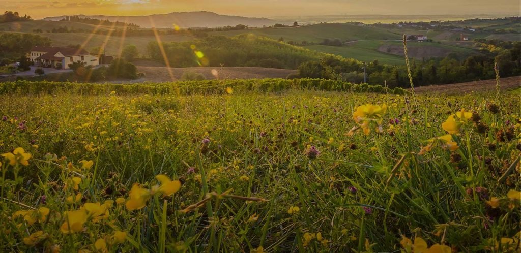 promozione aziende del monferrato