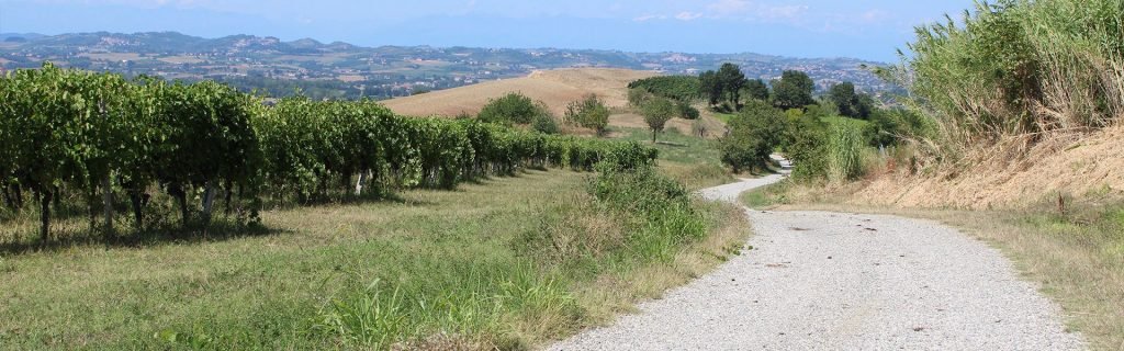 percorsi-a-piedi-monferrato-lu