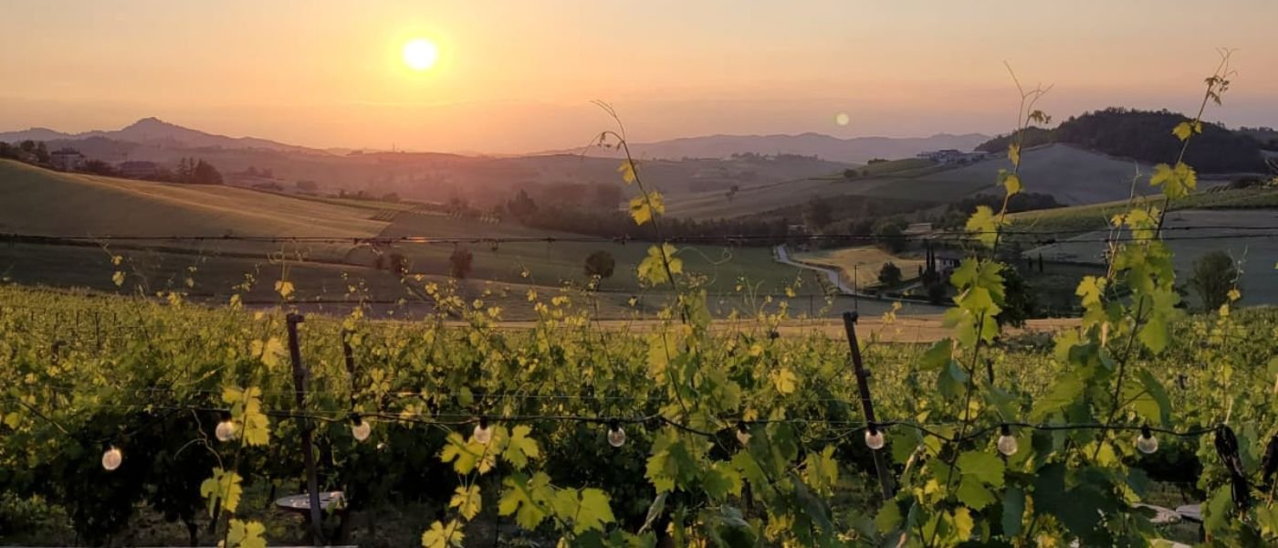 aperitivo in vigneto