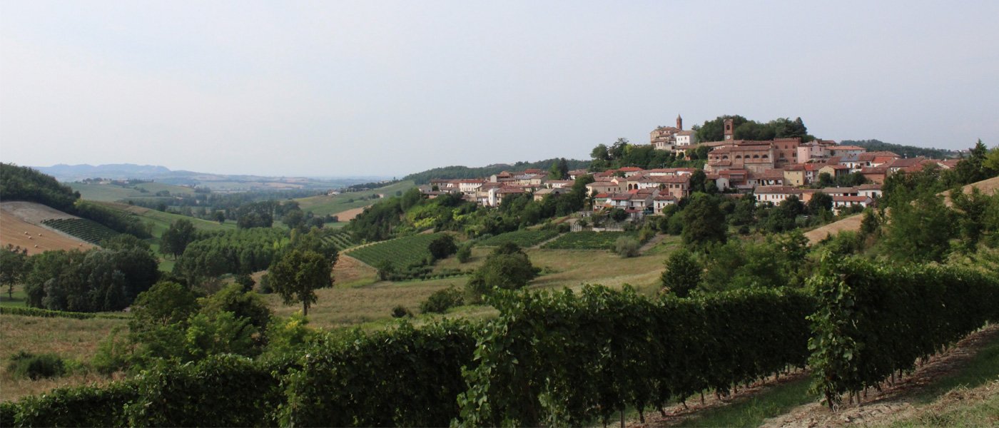 sala monferrato tra santi e vigne