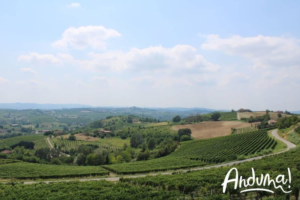 Nizza Monferrato paesaggi vitivinicoli