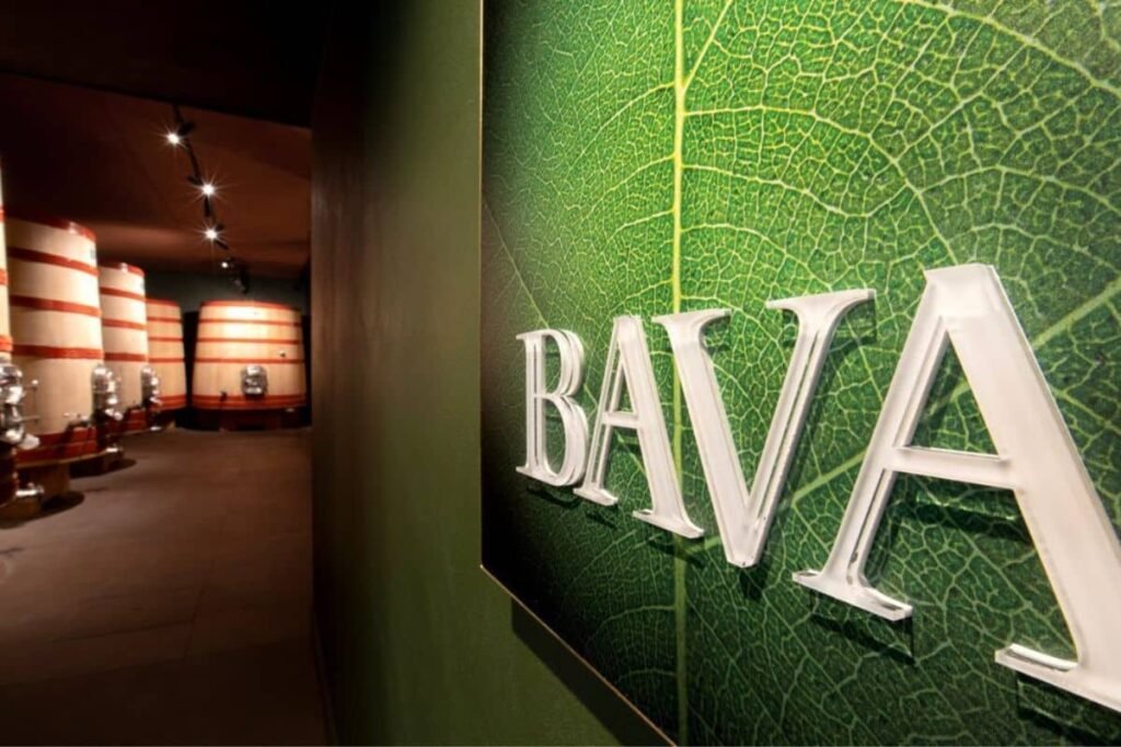 Vigneti bava cantina storica Monferrato