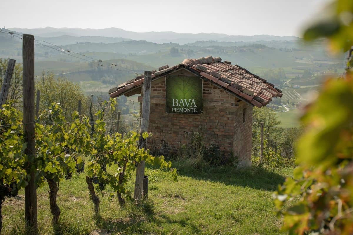 Vigneti bava cantina storica Monferrato
